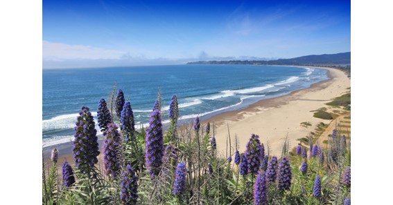 15 Most Famous Beaches in California