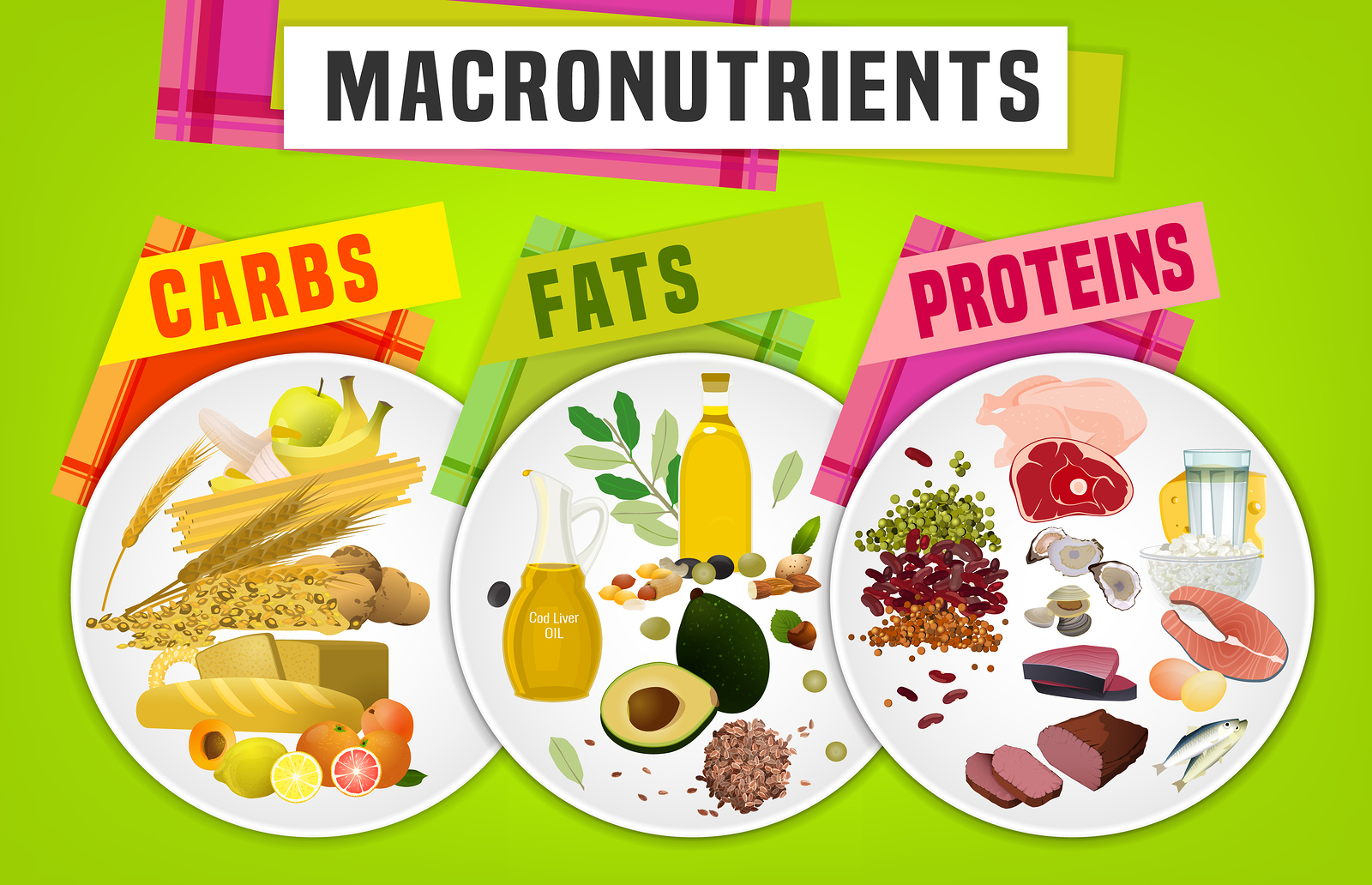 What Is the Importance of Calculating Macronutrients?