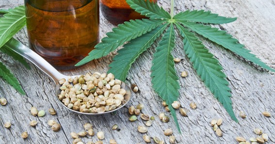 Exploring the Medicinal Benefits of Cannabis for Wellness