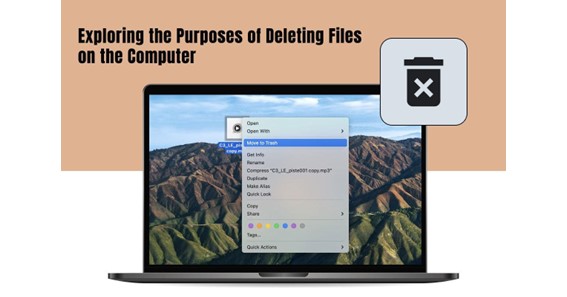 Exploring the Purposes of Deleting Files on the Computer